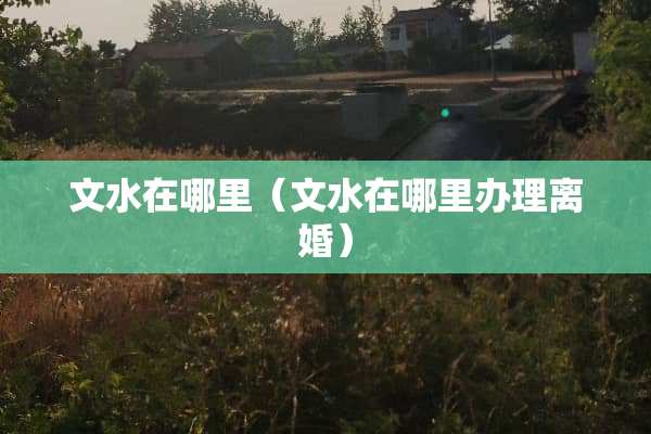 文水在哪里（文水在哪里办理**）