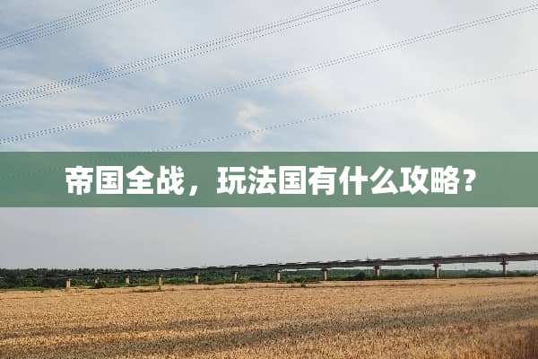 帝国全战，玩法国有什么攻略？