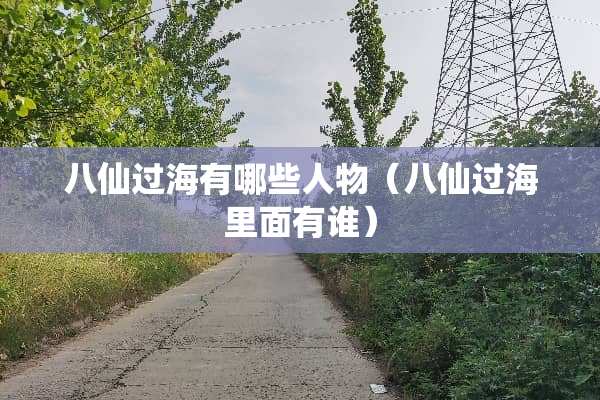 八仙过海有哪些人物（八仙过海里面有谁）