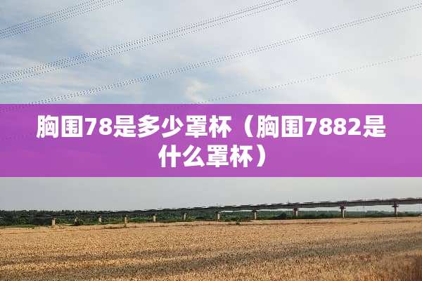 胸围78是多少**（胸围7882是什么**）