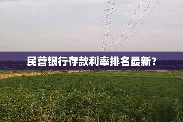 民营银行存款利率排名最新？