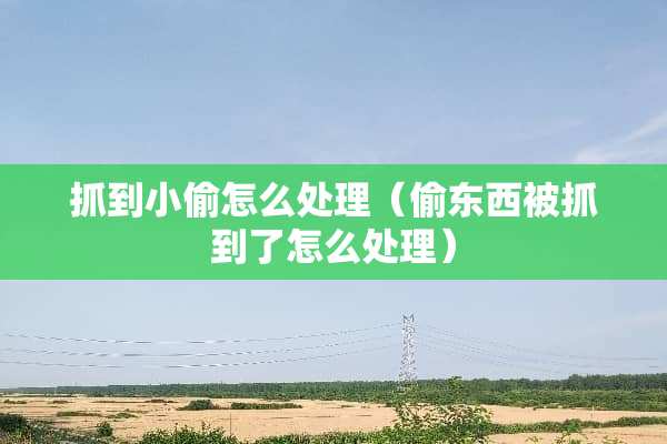 抓到小偷怎么处理（偷东西被抓到了怎么处理）