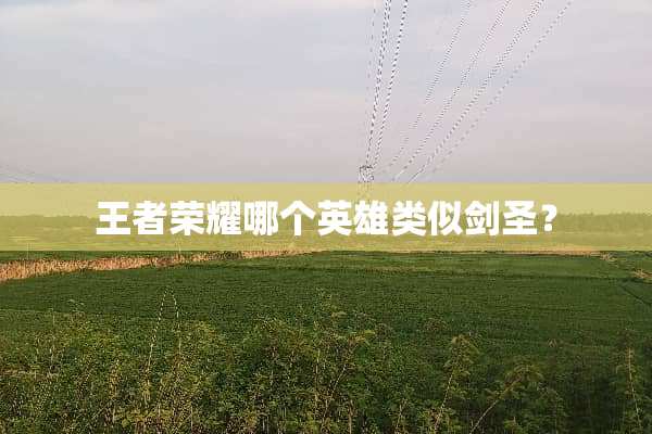 王者荣耀哪个英雄类似剑圣？
