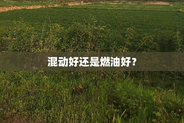 混动好还是燃油好？