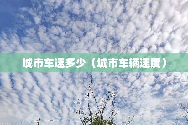 城市车速多少（城市车辆速度）