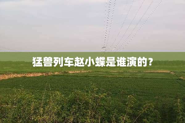 猛兽列车赵小蝶是谁演的？