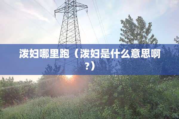 泼妇哪里跑（泼妇是什么意思啊?）