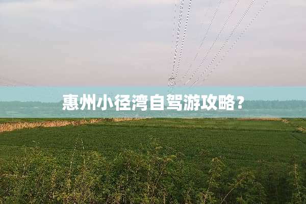 惠州小径湾自驾游攻略？