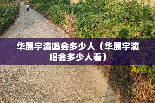 华晨宇演唱会多少人（华晨宇演唱会多少人看）