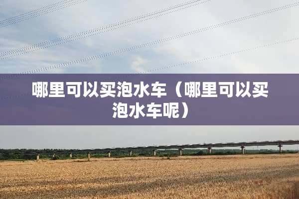 哪里可以买泡水车（哪里可以买泡水车呢）