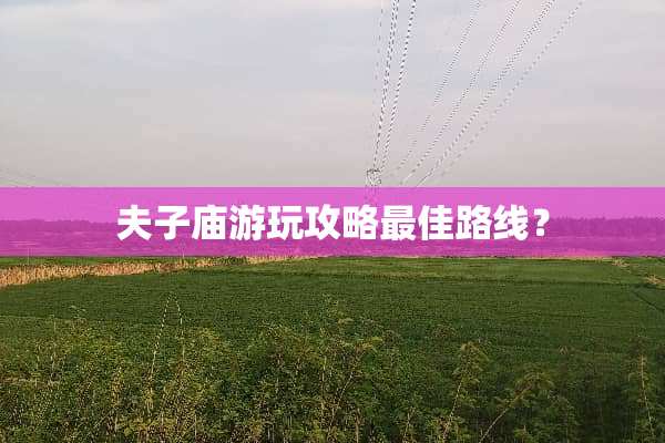 夫子庙游玩攻略最佳路线？