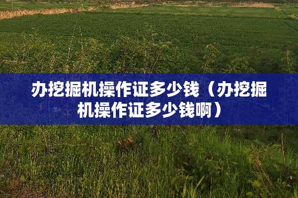 办挖掘机操作证多少钱（办挖掘机操作证多少钱啊）