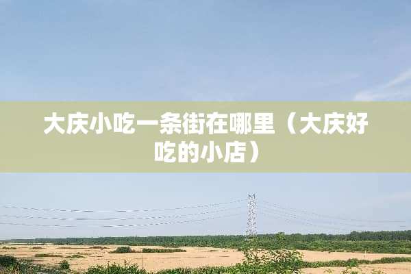 大庆小吃一条街在哪里（大庆好吃的小店）
