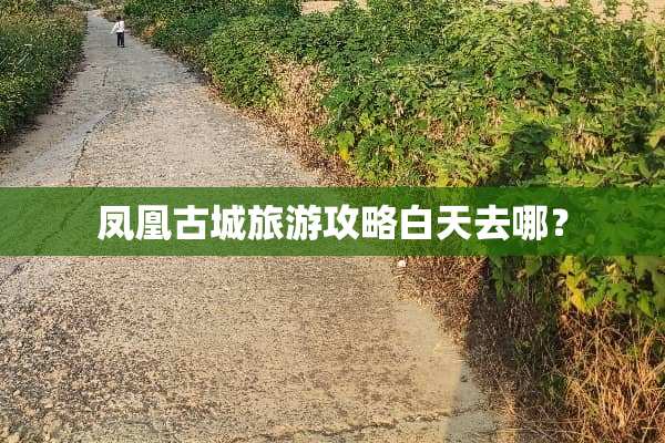 凤凰古城旅游攻略白天去哪？