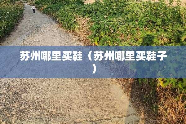 苏州哪里买鞋（苏州哪里买鞋子）