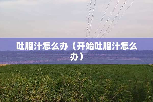 吐胆汁怎么办（开始吐胆汁怎么办）