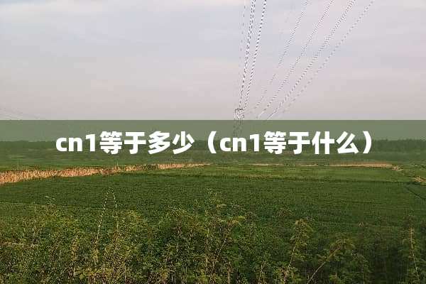 cn1等于多少（cn1等于什么）