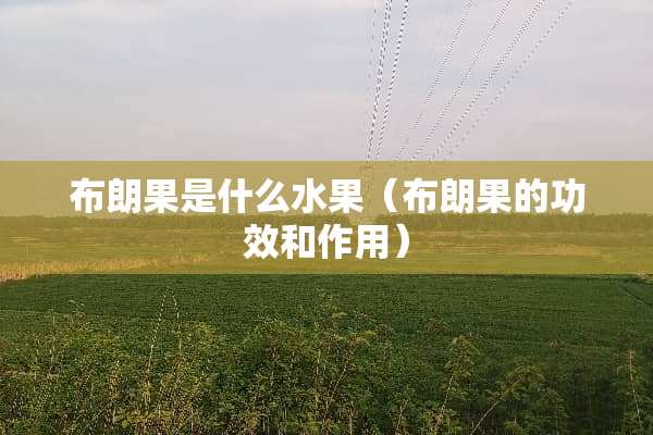 布朗果是什么水果（布朗果的功效和作用）