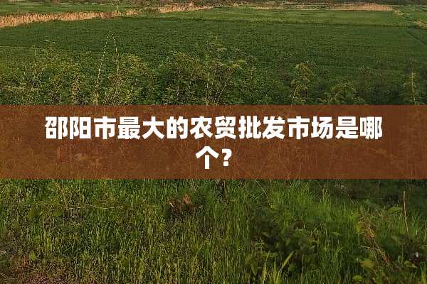 邵阳市最大的农贸批发市场是哪个？