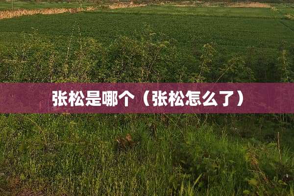 张松是哪个（张松怎么了）