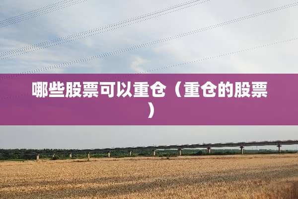 哪些股票可以重仓（重仓的股票）