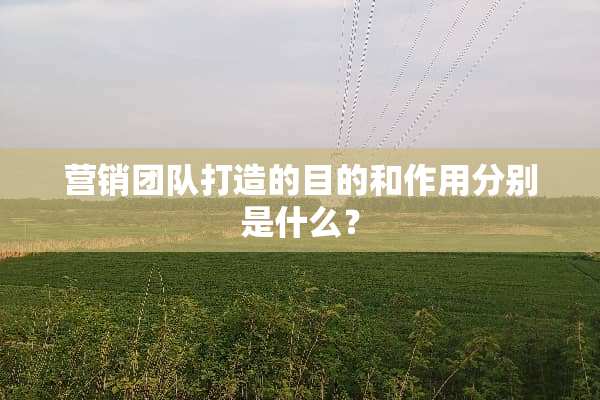 营销团队打造的目的和作用分别是什么？