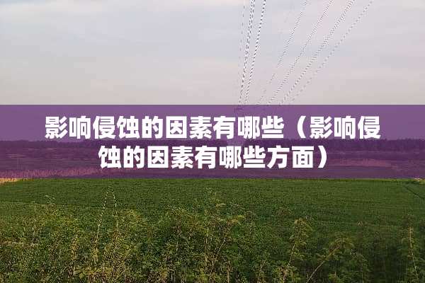 影响侵蚀的因素有哪些（影响侵蚀的因素有哪些方面）