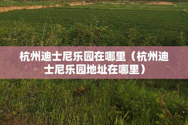 杭州迪士尼乐园在哪里（杭州迪士尼乐园地址在哪里）