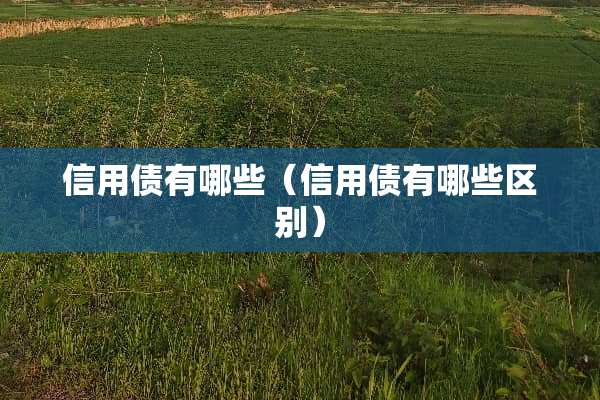 信用债有哪些（信用债有哪些区别）