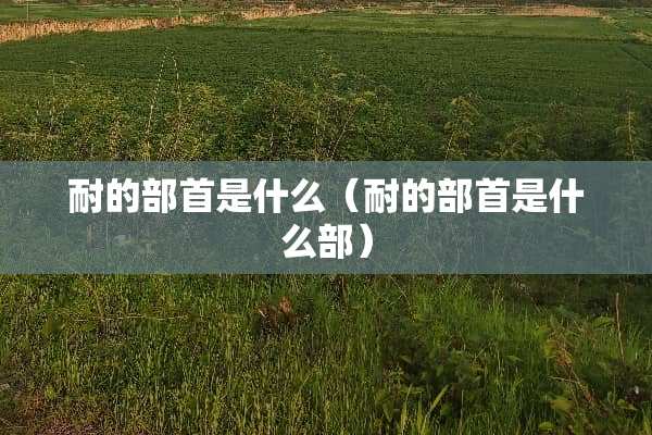 耐的部首是什么（耐的部首是什么部）