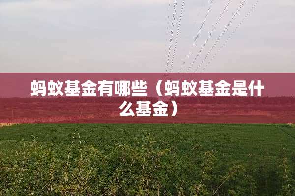 蚂蚁基金有哪些（蚂蚁基金是什么基金）