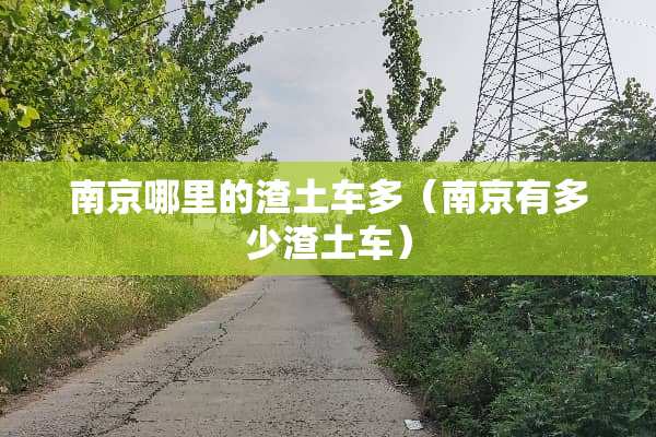 南京哪里的渣土车多（南京有多少渣土车）