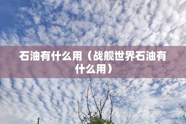 石油有什么用（战舰世界石油有什么用）