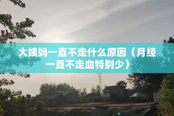大姨妈一直不走什么原因（月经一直不走血特别少）