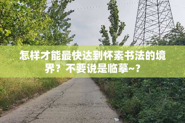 怎样才能最快达到怀素书法的境界？不要说是临摹~？