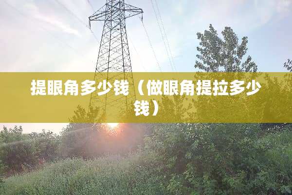 提眼角多少钱（做眼角提拉多少钱）