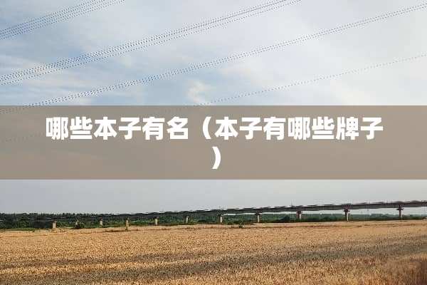 哪些本子有名（本子有哪些牌子）