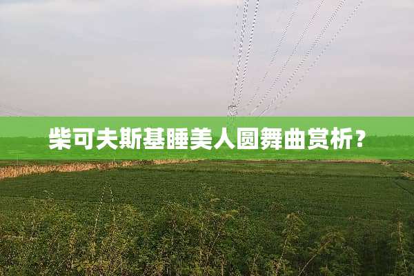 柴可夫斯基睡美人圆舞曲赏析？