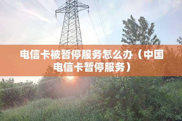 电信卡被暂停服务怎么办（中国电信卡暂停服务）