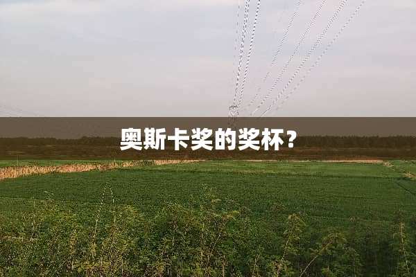 奥斯卡奖的奖杯？