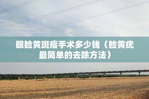 眼睑黄斑瘤手术多少钱（睑黄疣最简单的去除方法）