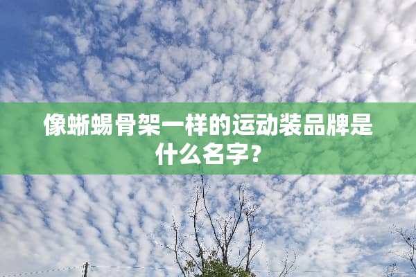 像蜥蜴骨架一样的运动装品牌是什么名字？