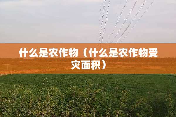 什么是农作物（什么是农作物受灾面积）