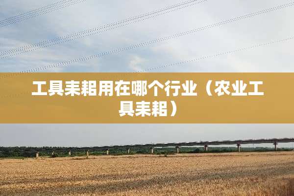 工具耒耜用在哪个行业（农业工具耒耜）