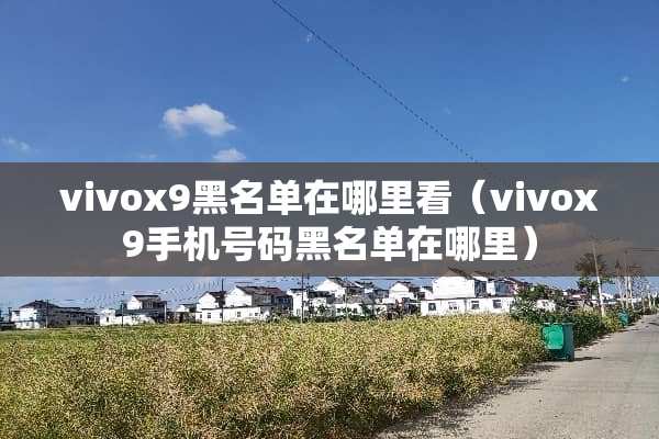 vivox9黑名单在哪里看（vivox9手机号码黑名单在哪里）
