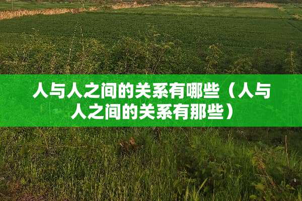 人与人之间的关系有哪些（人与人之间的关系有那些）