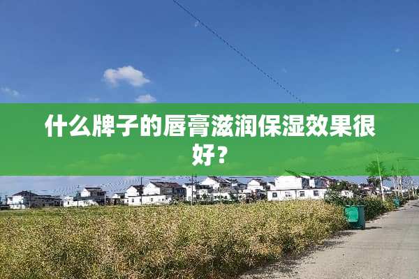 什么牌子的唇膏滋润保湿效果很好？