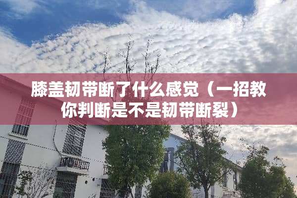 膝盖韧带断了什么感觉（一招教你判断是不是韧带断裂）