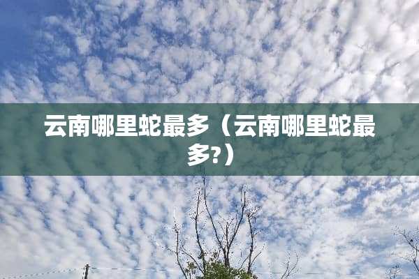 云南哪里蛇最多（云南哪里蛇最多?）