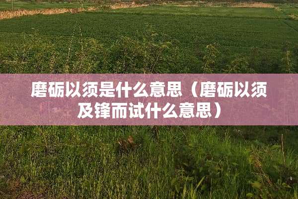 磨砺以须是什么意思（磨砺以须及锋而试什么意思）